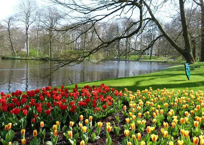 Отель Sleeping By Van Beelen Катвейк-ан-Зе